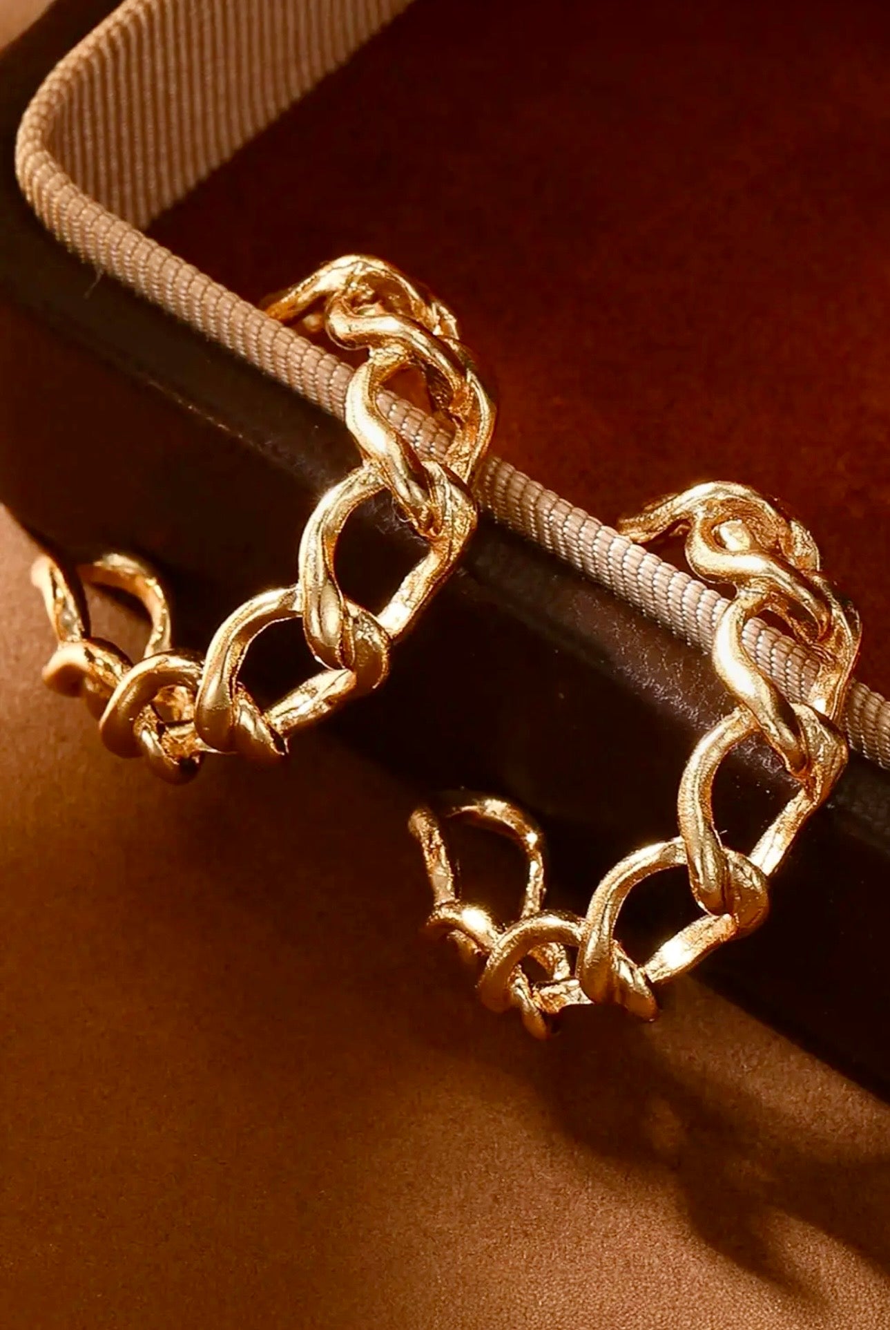 Gold Alloy Plated Round Hoop Chain Earrings